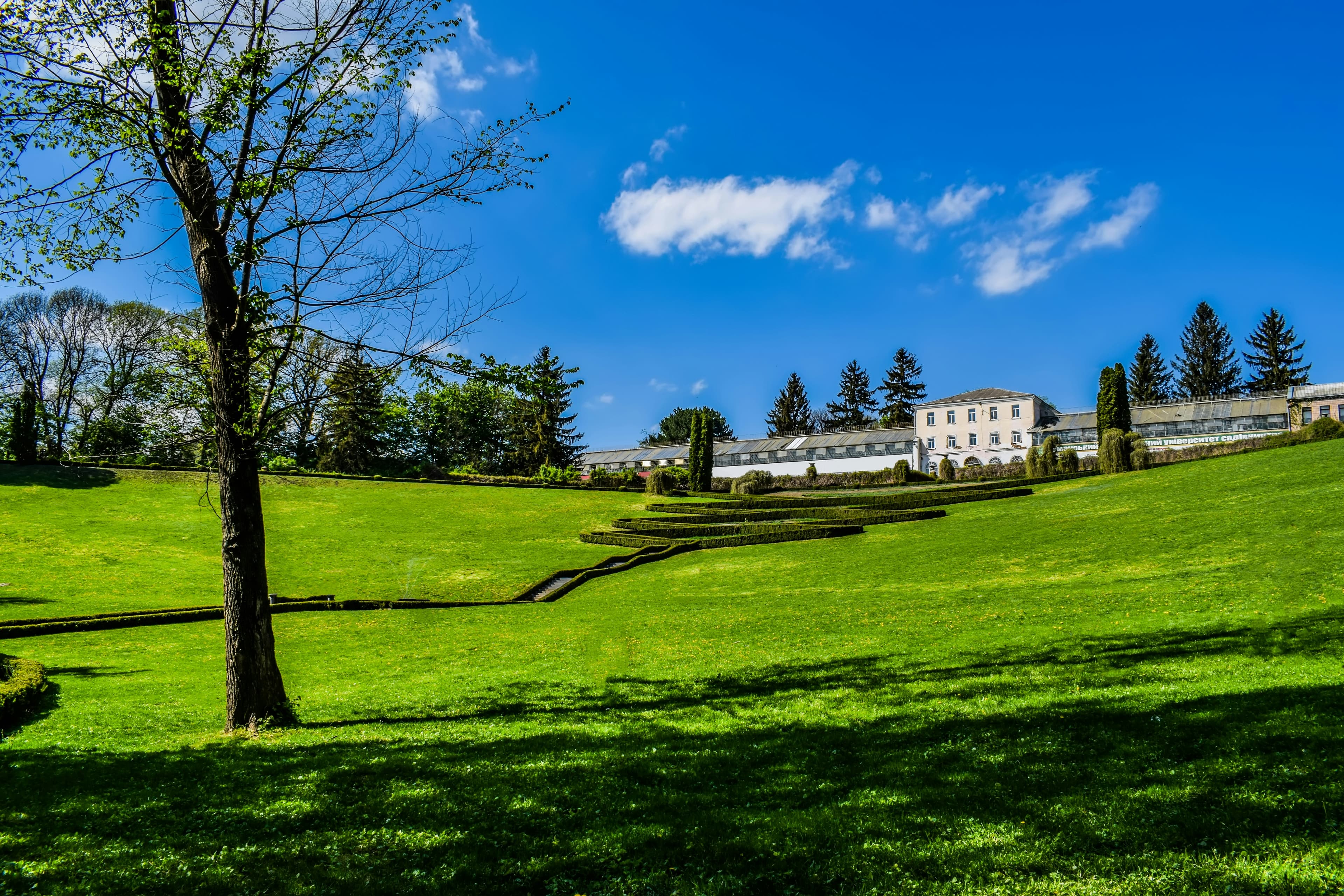 Spacious Lawns